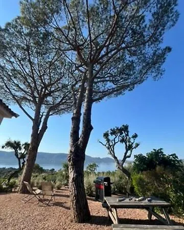 Villa Marina Di Fiori Vue - Vecchio *