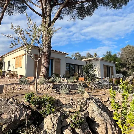Marina Di Fiori Vue - Vecchio Porto Vecchio